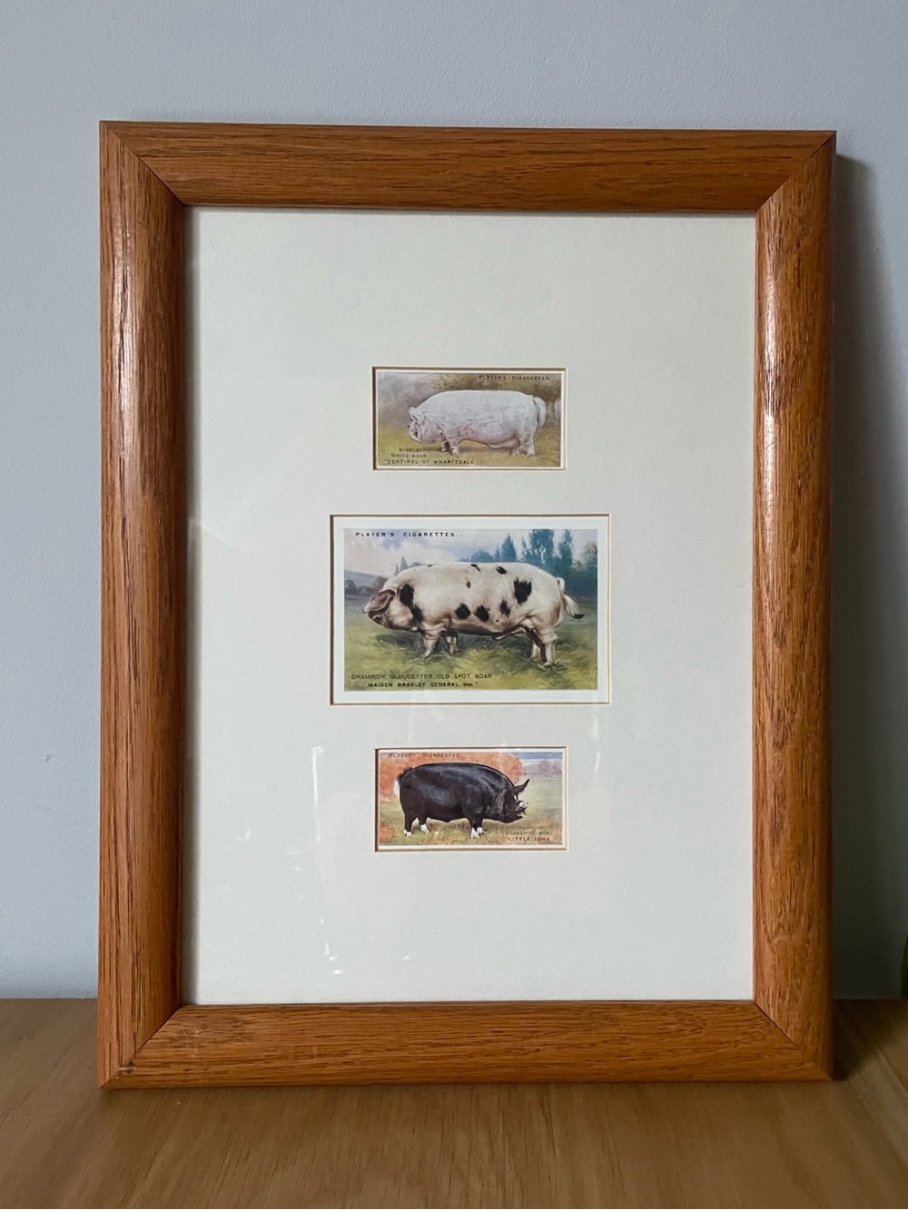 Vintage John Player & Sons Pig Cigarette Cards Custom Framed Trio Set 10x13